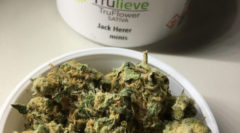 jack herer minis from trulieve strain review by indicadam