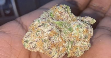 lava cake from nevada wellness center strain review by everythinghazee