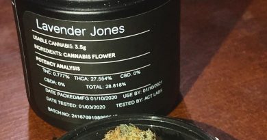 lavender jones aka purple jones strain review by cannacase.420 2