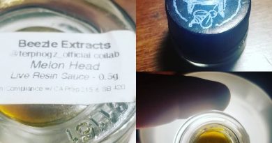 melon head live resin sauce by beezle extracts concentrate review by sticky_haze420