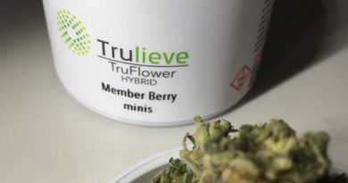 member berry minis by trulieve strain review by indicadam