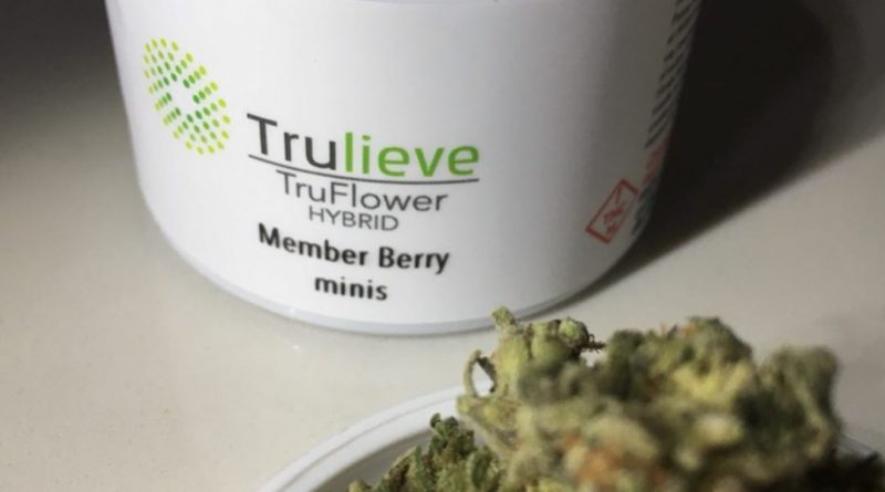 member berry minis by trulieve strain review by indicadam