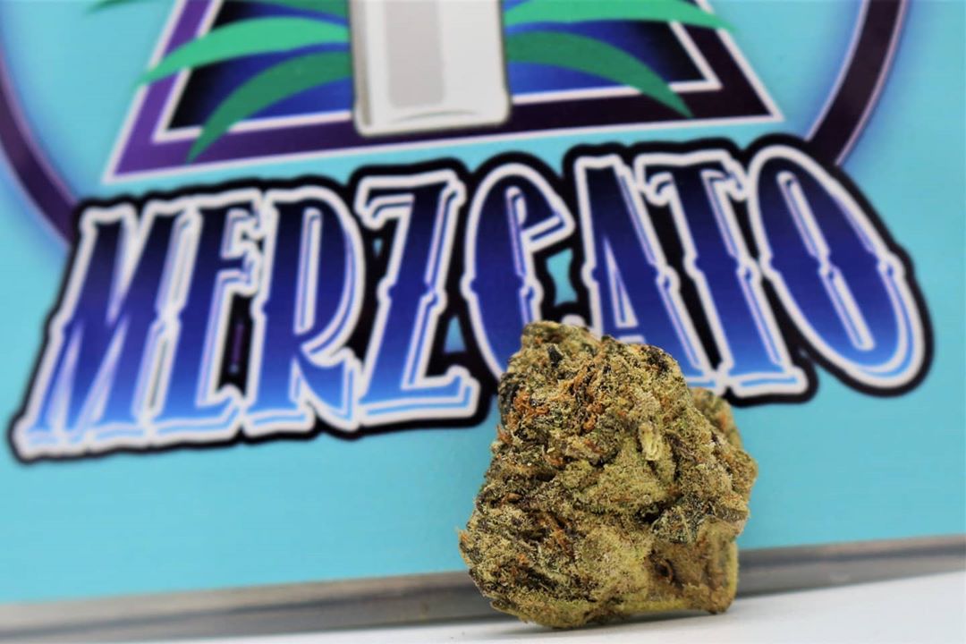 merzcato by flower child farms strain review by cannasaurus_rex_reviews