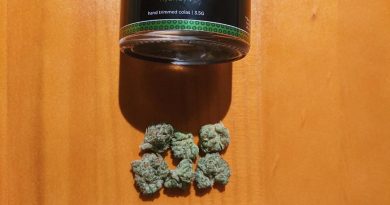 motorbreath by reserve flower verano brands strain review by upinsmokesession