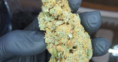 rainmaker by riverland remedies strain review by cannaquestions