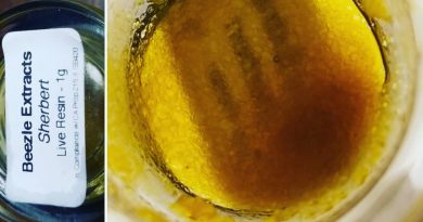 sherbert live resin by beezle extracts concentrate review by sticky_haze420