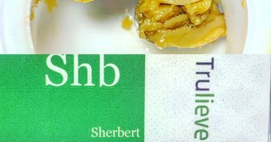 sherbert live rosin by blue river terps concentrate review by sticky_haze420