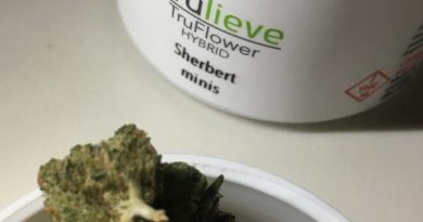 sherbert minis dark trichomes from trulieve strain review by indicadam