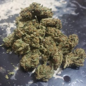 shockwave nugs by luigi farms strain review by cannasaurus_rex_reviews