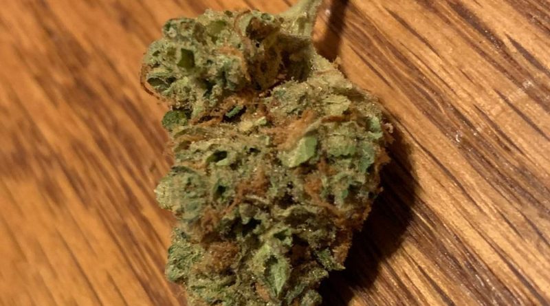 sour papaya by oni seed co strain review by green.is.for.hope