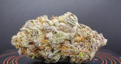 strawberry blondie by los angeles kush strain review by tropicannapr_