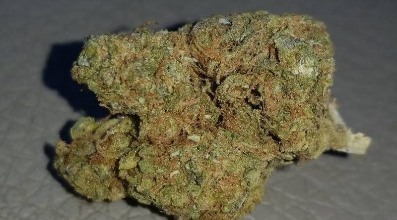 strawberry breath by virgin cannabis strain review by sticky_haze420