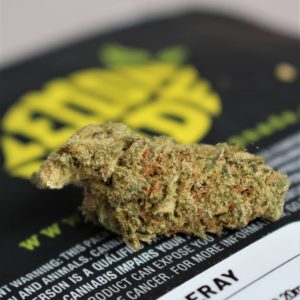 tangeray strain by growing passion strain review by cannasaurus_rex_reviews 2