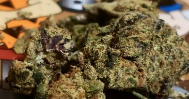 thin mint cookies by cookies sf strain review by cannasaurus_rex_reviews