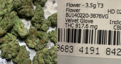 velvet glove from muv florida strain review by sticky_haze420