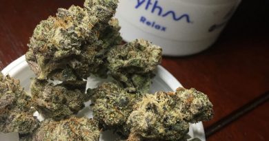 velvet glove from rise cannabis strain review by indicadam