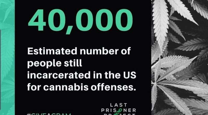 what is the last prisoner project faq by cannaquestions