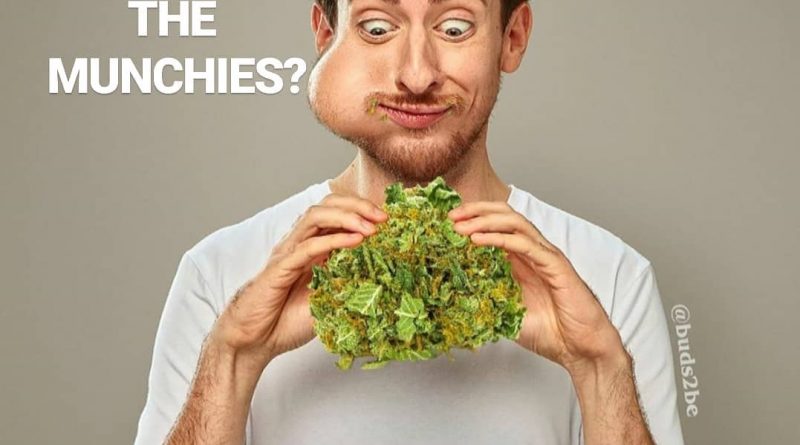 why do i get the munchies faq by cannaquestions photocred to buds2be