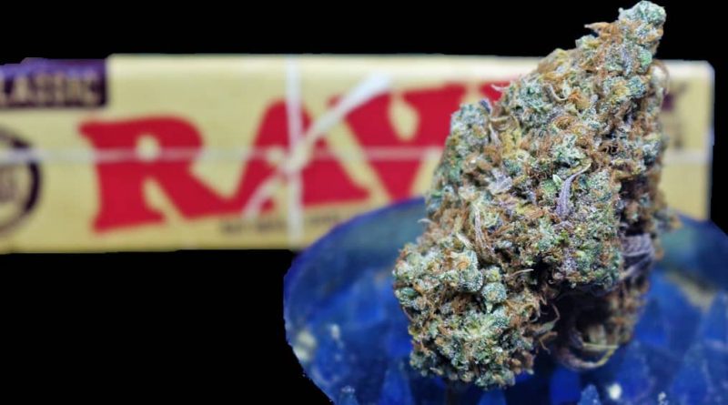 wicked sowa skittles by wicked sowa strain review by cannasaurus_rex_reviews