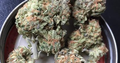 10th planet by ethos genetics strain review by jean_roulin_420