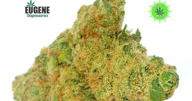 ancient og from green therapy strain review by eugene.dispensaries