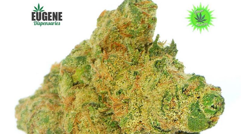 ancient og from green therapy strain review by eugene.dispensaries