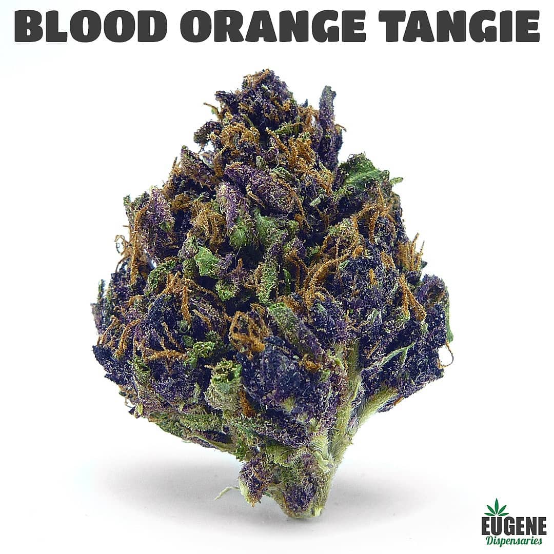 blood orange tangie by benson elvis strain review by eugene.dispensaries