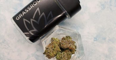 blueberry headband by grassroots cannabis strain review by upinsmokesession
