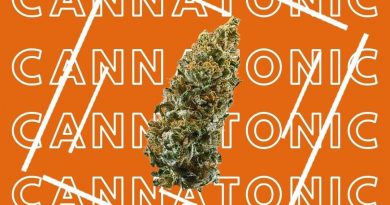 cannatonic by resin seeds strain review by ohio_marijuana