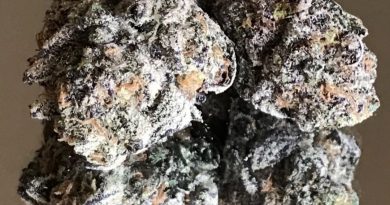 chem pie by rooted zen strain review by okcannacritic