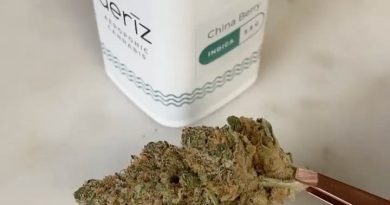 china berry by aeriz strain review by upinsmokesession