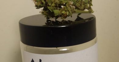 china yunnan by old world organics strain review by pdxstoneman