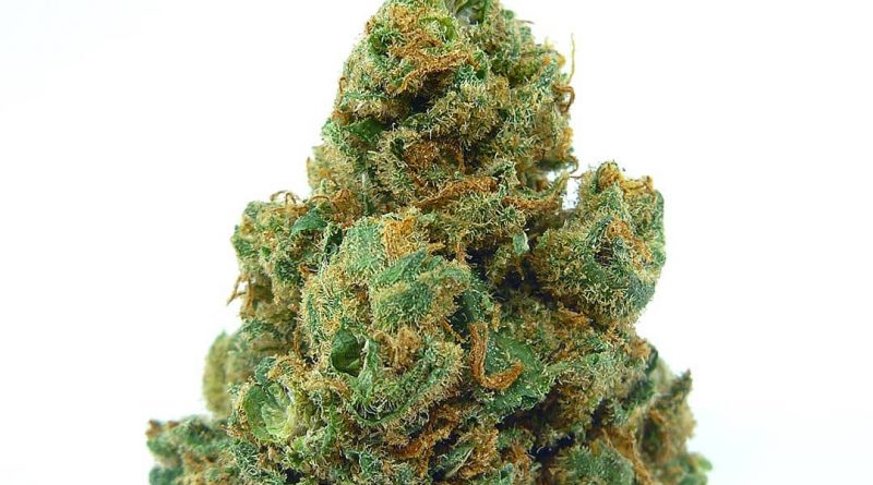 clementine by pistil point strain review by eugene.dispensaries