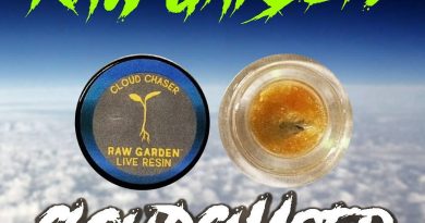 cloud chaser live resin by raw garden concentrate review and art by herbtwist