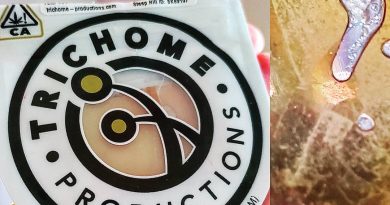 forbidden fruit shatter by trichome productions concentrate review by herbtwist