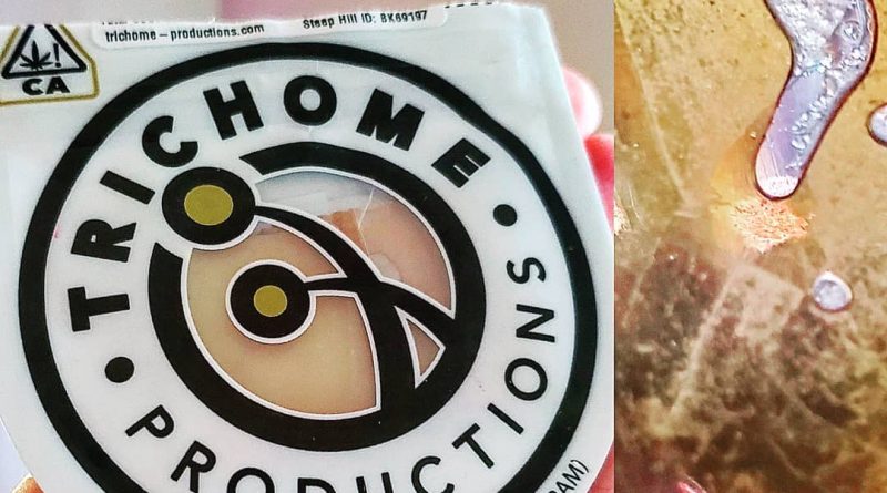 forbidden fruit shatter by trichome productions concentrate review by herbtwist