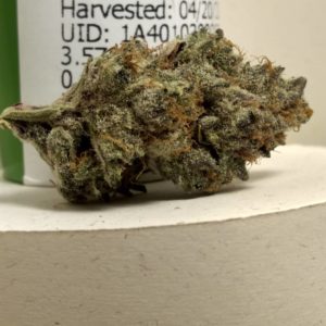 funnel cake by eastwood gardens strain review by pdxstoneman 2