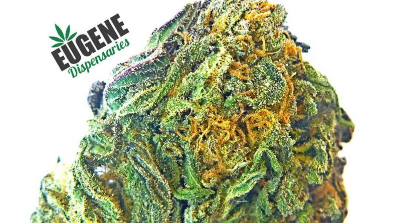 grape poobah by penrod farms strain review by eugene.dispensaries