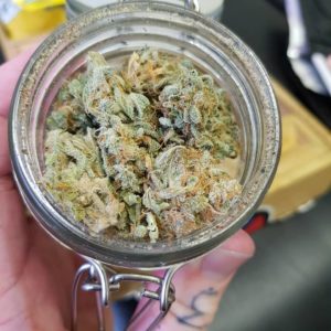 guava by flavour chasers strain review by ninthtimelucky 2
