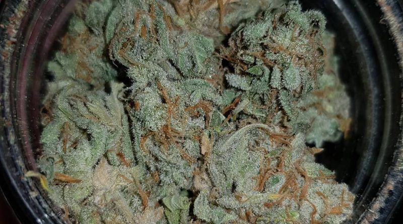 guava by flavour chasers strain review by ninthtimelucky