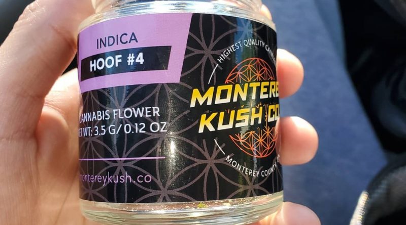 hoof 4 by monterey kush co strain review by hall.of.flamez