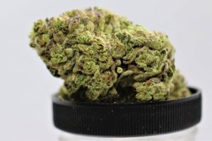 ice cream cake by excelsior extracts strain review by cannasaurus_rex_reviews 2