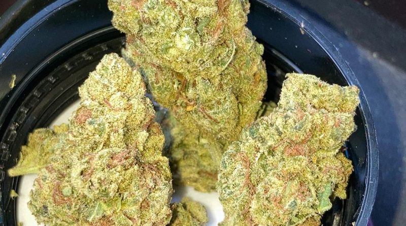 illemonati by smooth cannabis strain review by sjweedreview