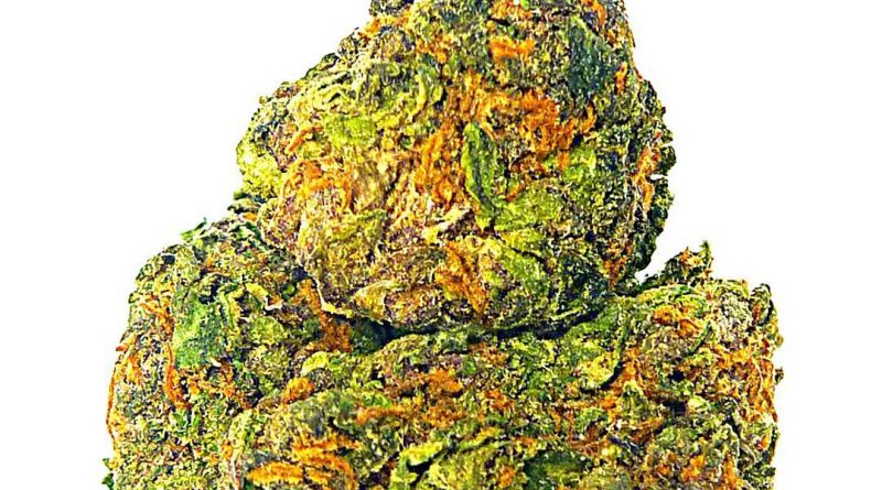 jager by porta farms strain review by eugene.dispensaries