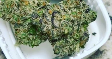 jillybean from growhealthy strain review by sticky_haze420