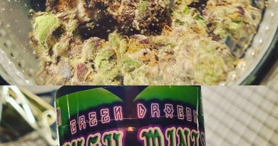 kush mints by green dragon strain review by herbtwist