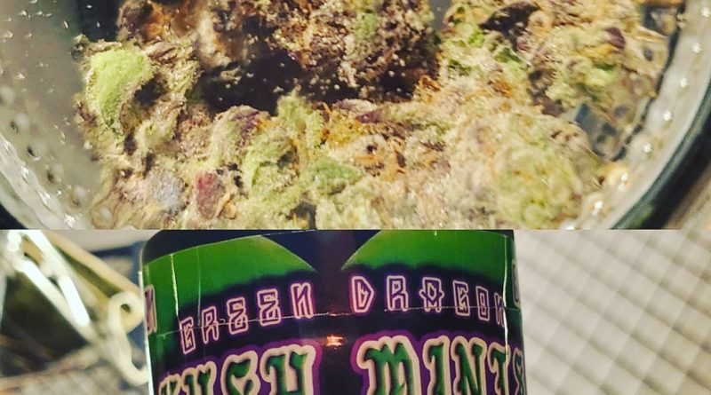 kush mints by green dragon strain review by herbtwist