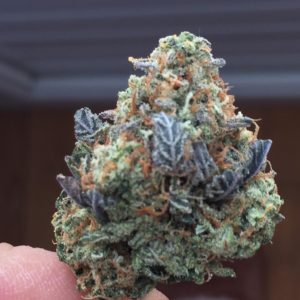 lilac cookies bx2 by ethos genetics strain review by jean_roulin_420