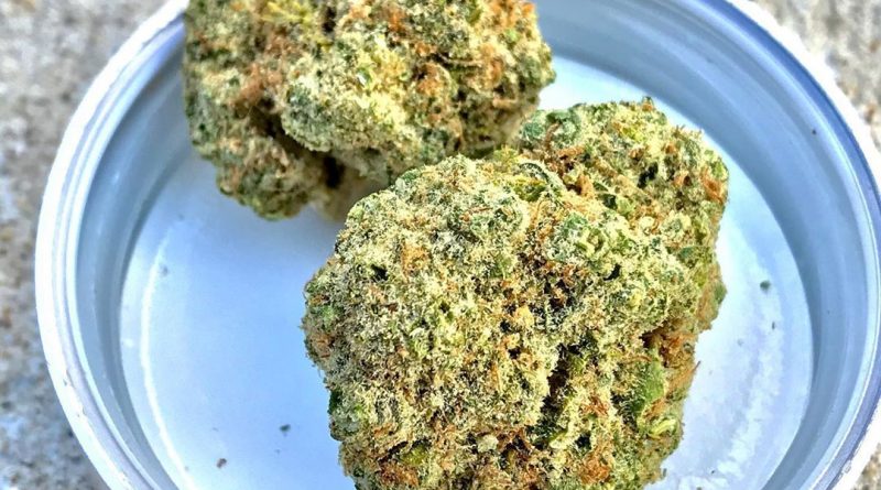 lou's legacy by bedford grows strain review by cannacase.420