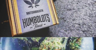 motorbreath by humboldt's finest strain review by herbtwist